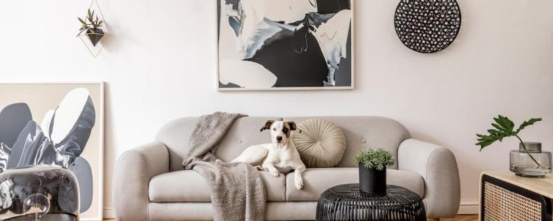 Dekorácie do bytu a bytové doplnky