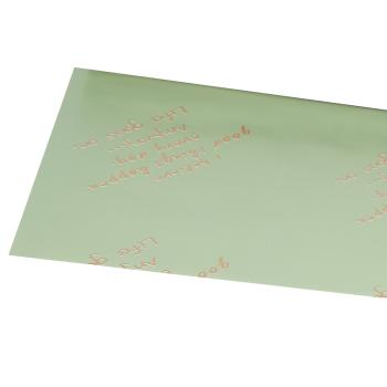 PLASTOVÝ OBAL, 20 KUSOV, "I BELIVE GOOD THINGS HAPPEN EVERY DAY. ANYWAY... LIFE GOES ON", ZELENÁ