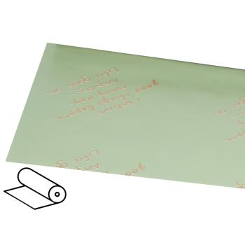 PLASTOVÝ OBAL, "I BELIVE GOOD THINGS HAPPEN EVERY DAY. ANYWAY... LIFE GOES ON", ZELENÁ