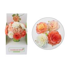 GÉLOVÉ PERO CREEPING ROSE