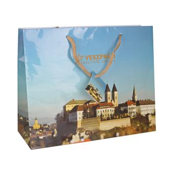 PAPIEROVÁ TAŠKA S JASNÝM, VESZPRÉMOVÝM VZOROM