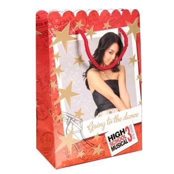 DISNEY PAPIRTASAK HIGH SCHOOL MUSICAL 3 "GOING TO THE DANCE"