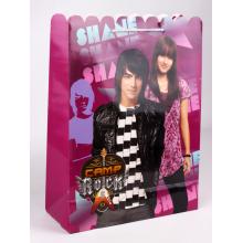 DISNEY PAPER BAG CAMP ROCK - SHANE
