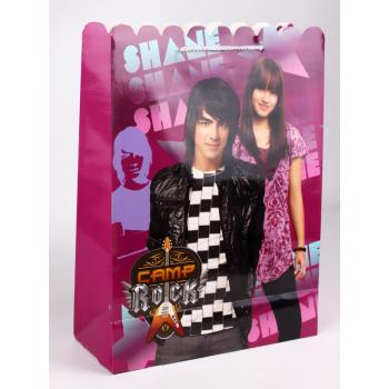 DISNEY PAPER BAG CAMP ROCK - SHANE