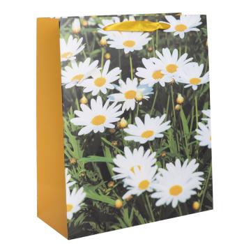 PAPIEROVÉ TAŠKY MATNÉ BIELE SEDMOKRÁSKY 18X23