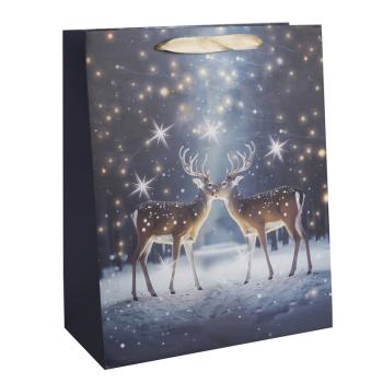 PAPIEROVÉ TAŠKY MATNÉ, SOBY POD HVIEZDAMI