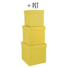 SADA PAPIEROVÝCH ŠKATÚĽ, 3 KUSY, KOCKA, EGREŠOVO ZELENÁ