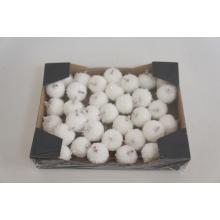 PENOVÉ JABLKO 36 KUSOV TRBLIETAVÉ ZASNEŽENÉ