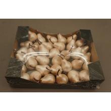 PENOVÁ HRUŠKA 36 KUSOV RUŽOVÁ