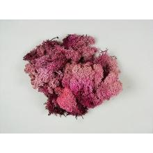 PRÍRODNÝ ISLANDSKÝ MACH RUŽOVÝ