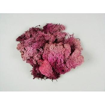 PRÍRODNÝ ISLANDSKÝ MACH RUŽOVÝ