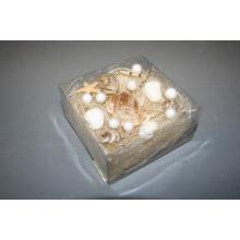 ŠKRUPINA+PRÍRODA SISALOVÝ PVC BOX