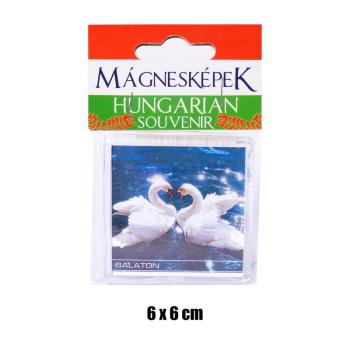 MAGNETKA NA CHLADNIČKU SUVENÍR BALATON/SWAN