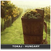 MAGNETKA NA CHLADNIČKU SUVENÍR TOKAJ