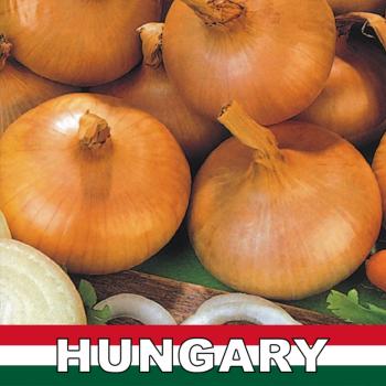 MAGNETKA NA CHLADNIČKU SUVENÍR MAKO CIBUĽA