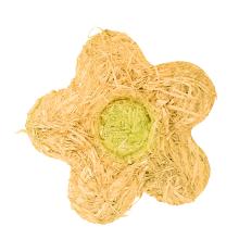 SISALOVÝ KVET ŽLTÝ 20