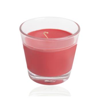 VONNÁ SVIEČKA V SKLE, JABLKO-ŠKORICA, 30 HODÍN HORENIA