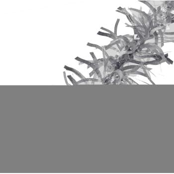 VIANOČNÉ BOA, STRIEBRO, STRIEBRO