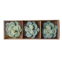 POLYRESINOVÁ DEKORÁCIA, 3 KUSY, KAKTUS, NEÓNOVO ZELENÁ