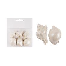 SADA POLYRESINOVÝCH MUŠLÍ V SÁČKU, 6 KUSOV, KRÉMOVÁ