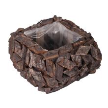 BOROVICOVÁ ŠIŠKA, OBDĹŽNIKOVÁ, SIVÁ