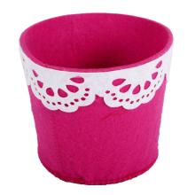 PLSTENÝ KVETINÁČ, ČIPKA VIETOR, CYKLÁMEN