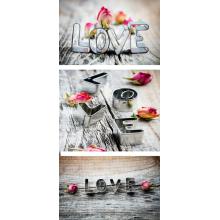 SKLENENÝ OBRAZOVÝ STÔL LOVE