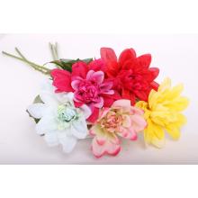 UMELÝ KVET STONKOVÝ DAHLIA VEĽKÝ OKVETNÝ LÍSTOK