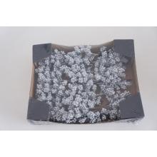 PENOVÝ ZBERAČ BOBÚĽ 24 KUSOV STRIEBORNÝ