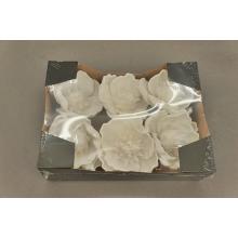 PENOVÁ HLAVA MAGNÓLIE 6 KUSOV BIELA