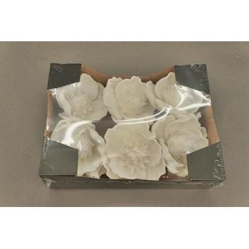 PENOVÁ HLAVA MAGNÓLIE 6 KUSOV BIELA