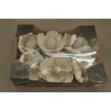 PENOVÁ HLAVA MAGNÓLIE 6 KUSOV SVETLOZELENÁ