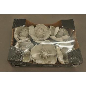 PENOVÁ HLAVA MAGNÓLIE 6 KUSOV SVETLOZELENÁ