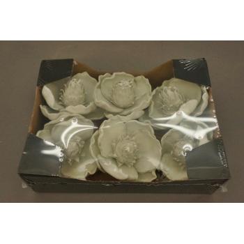 PENOVÁ HLAVA MAGNÓLIE 6 KUSOV ZELENÁ