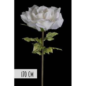 UMELÝ KVET, RUŽA, OBRIE, BIELA