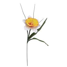 UMELÝ KVET S TRÁVOU NARCIS