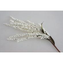 TENKOSŤ PENY VISIACI KRÉM