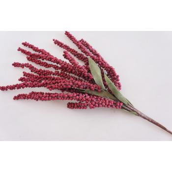 PENA BERRYINESS VISÍ BURGUNDSKÉ