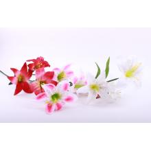 UMELÝ KVET VLÁKNITÁ ĽALIA