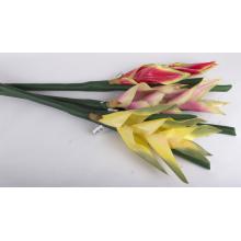 UMELÝ KVET SLAMA HELICONIA, UZAVRETÁ HLAVA