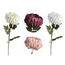 CHRYZANTÉMA 3 LISTY 4 FARBY