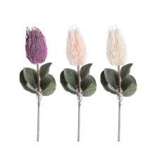 UMELÝ KVET STONKOVEJ BANKSIE, 1 KVETNÁ HLAVA, 6 LISTOV