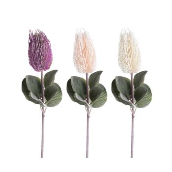 UMELÝ KVET STONKOVEJ BANKSIE, 1 KVETNÁ HLAVA, 6 LISTOV