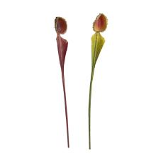 UMELÝ KVET VLÁKNO MÄSOŽRAVÝ CHICHONG KVET