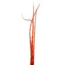 DEKOR TROPICKÝ LIST, ŠPIRÁLA, 4 KUSY, ČERVENÁ