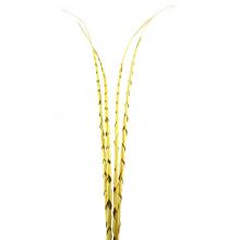 DEKOR TROPICKÉ LISTY, ŠPIRÁLA, 4 KUSY, ŽLTÁ