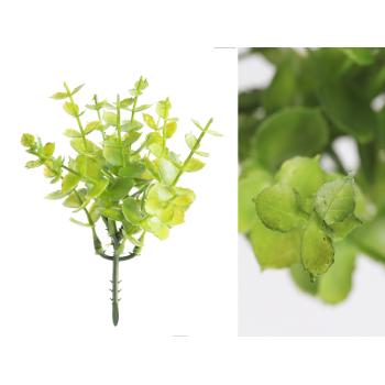 UMELÝ KVET, EUKALYPTUS, ZELENÁ