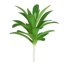 UMELÝ KVET, TRS, OSTNATÁ LISTOVÁ ORCHIDEA, ZELENÁ