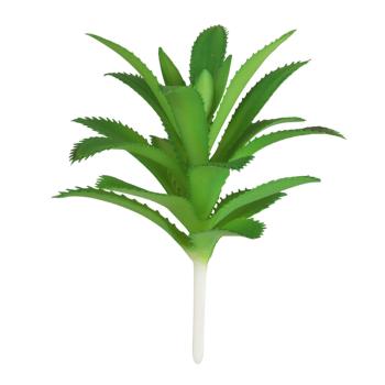 UMELÝ KVET, TRS, OSTNATÁ LISTOVÁ ORCHIDEA, ZELENÁ