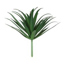 FALOŠNÝ KVET, PICK, VEĽKÝ MEČ TRÁVA, ZELENÁ